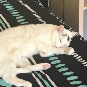 Meet your Posher, Shreya